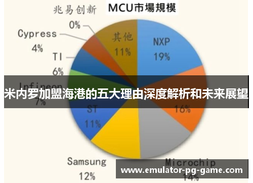米内罗加盟海港的五大理由深度解析和未来展望
