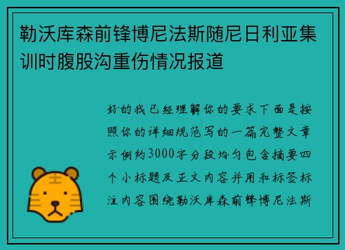 勒沃库森前锋博尼法斯随尼日利亚集训时腹股沟重伤情况报道
